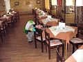 desinsekce